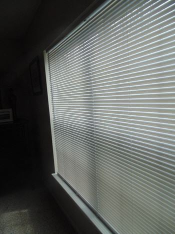 Vertical blinds